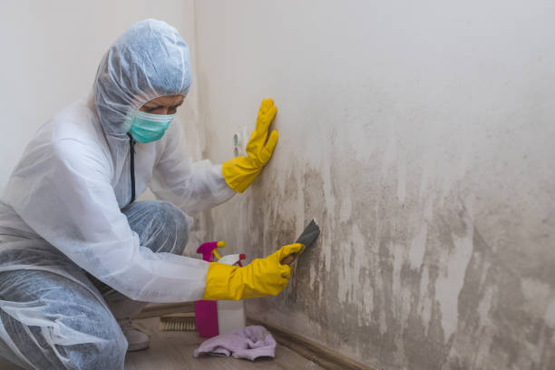 Best Mold Removal Process  in Adrian, MO
