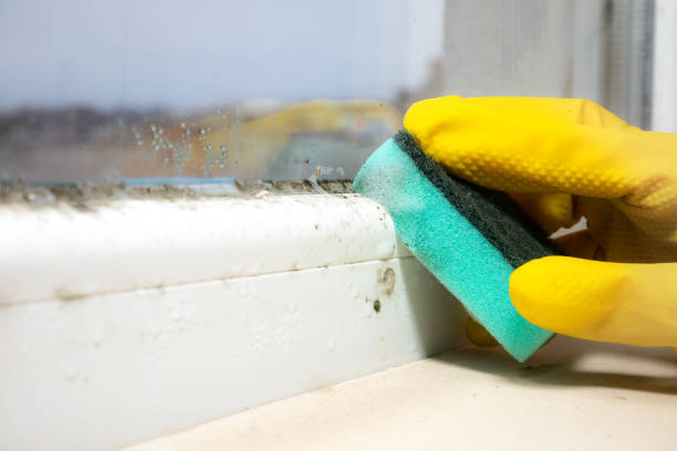 Water Damage Restoration in Adrian, MO
